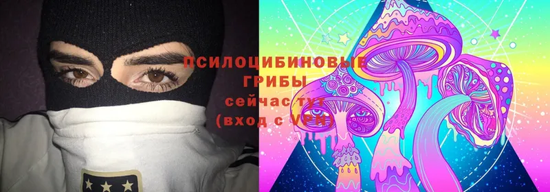 Псилоцибиновые грибы Magic Shrooms  Всеволожск 